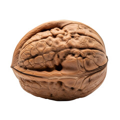 Obraz premium Naturally beautiful whole walnut showcasing intricate texture and earthy tones, perfect for healthy food concepts and organic branding.