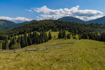 hills covered with spruce trees and a wooden fence stretching along the edge of the meadow