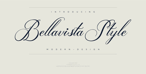 Signature Elegant Branding Typeface. Handwritten Script Editable Text Effect Template . vector illustration 
