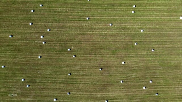 Aerial view of scattered hay bales on a vibrant green field in neat rows, creating a textured landscape of agriculture, H&uacute;sav&iacute;k, Nor&eth;ur&thorn;ing, Iceland.