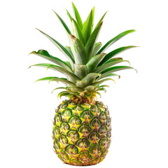 Fototapeta premium Fresh pineapple, vibrant green leaves