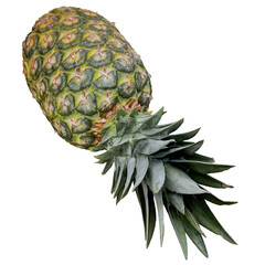 Isolated Rotated Pineapple Fruit Photorealistic 3D Illuistration on Transparent Background