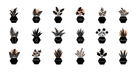 Fototapeta premium Collection of Black Geometric Potted Plants with Various Foliage and Shapes