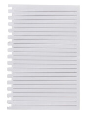 Torn-out lined notebook page template isolated on transparent background.. Binder holes on left edge. Empty note paper mockup. Writing, notes, school or organization concept, cut out graphic object