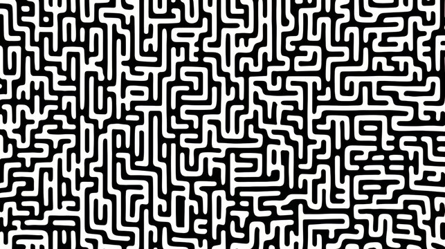 Maze of black and white lines. The lines are very thin and are very close together. The lines are in a zigzag pattern