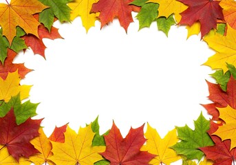 Obraz premium Autumn maple leaves form a colorful border on a white background