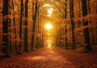 A sunlit path through a forest lined with vibrant autumn trees