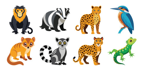 A Cute Vector Cartoon Animals:  Exotic Wildlife Set, Vibrant Colors, Flat Style Illustration. © CHANDRABATI