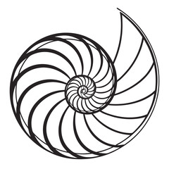 Obraz premium Illustrate a spiraling helix shape, using clean black curves, with negative space between each curve
