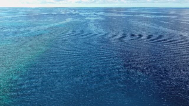 Aerial view of the vast ocean showcasing the varying hues of blue, with gentle waves and dolphins creating patterns on the water's surface, Gulhi, Kaafu Atoll, Maldives.
