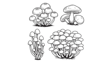 Raised Fist Illustration on Transparent Background Symbol of Solidarity and Empowerment