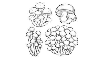 Aviator Sunglasses Outline Drawing for Summer Style and Protection from the Sun's Glare