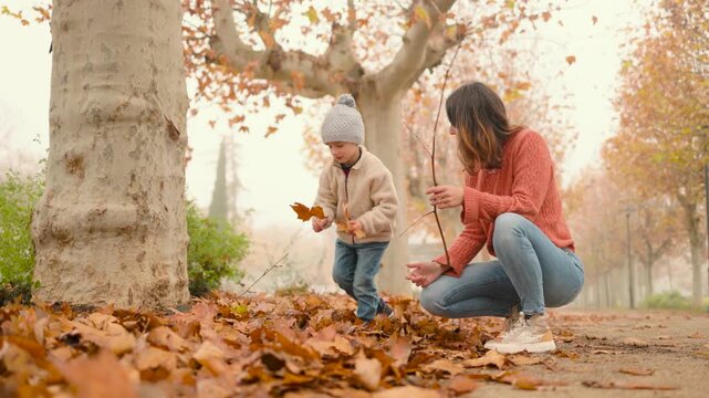 Happy mother and son are collecting fallen leaves in a park during a beautiful autumn day.