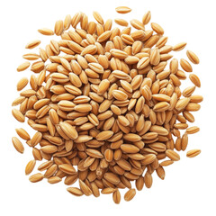 Obraz premium Golden Wheat Grains Abundant Harvest Healthy Food