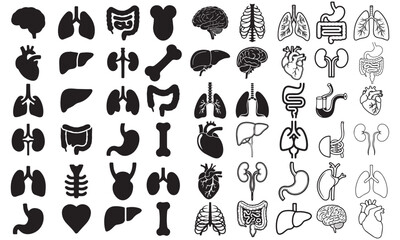 Human Internal Organs Icon Set – Black and White Medical Silhouettes and Line Art for Healthcare, Anatomy, and Biology Designs

