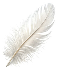 white birth feather isolated on transparent background © mansukon