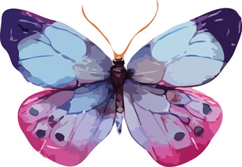 butterfly vector art