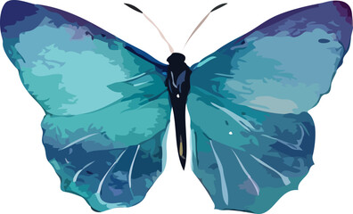 butterfly vector art