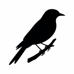 Obraz premium Perched Bird Silhouette Vector Illustration Elegant Avian Graphic for Nature-Inspired Designs and Wildlife Projects