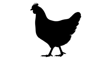 Isolated Chicken Silhouette