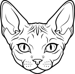 Sphynx cat head front view outline icon vector
