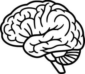 Brain organ outline icon vector
