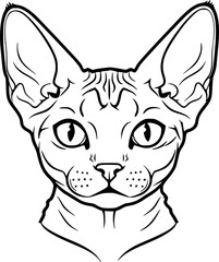 Sphynx cat head front view outline icon vector

