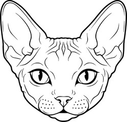 Sphynx cat head front view outline icon vector
