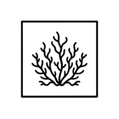 sea blue coral reef frame  coastal mediterranean m