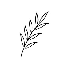  soft blue olive branch outline on white   contemp
