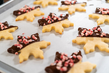 Making Star-Shaped Cookies with Chocolate and Peppermint Chips