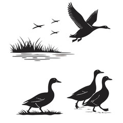 Top Down Filled Shapes Of Open Books Scrolls