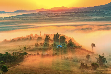 Obraz premium The landscape photo, tree silhouette and sea fog during morning time at Khao Kho National, Phetchaboon,Thailand.