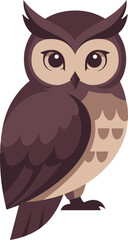 Fototapeta premium owl