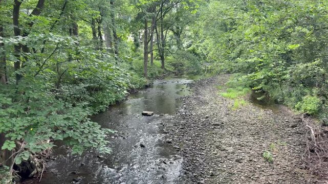 A Creek Flowing Gently Through The Forest