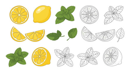 Refreshing citrus and mint flavors for healthy drinks and culinary creations