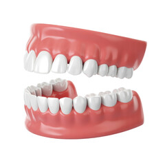 Obraz premium 3d rendered illustration of human teeth isolated on transparent background