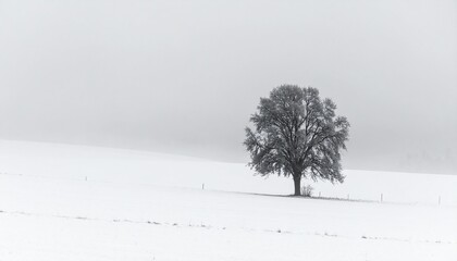 tree in snow