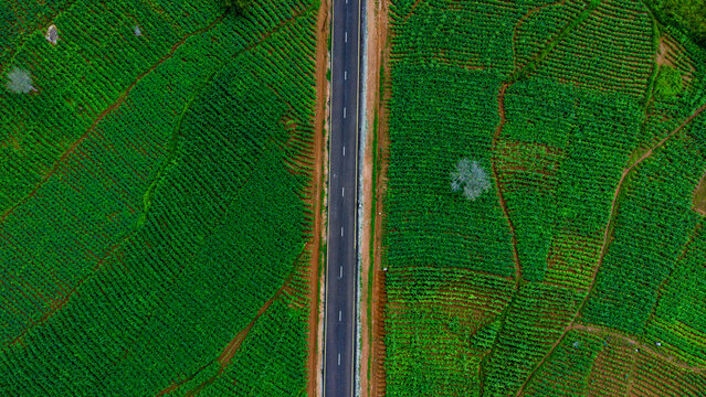 Aerial view of a stark asphalt road bisecting intensely green, cultivated fields, a vibrant contrast of human order and natural growth, Kereng, Plateau, Nigeria.