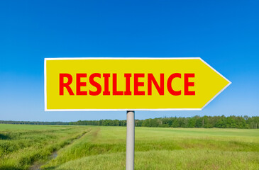 Resilience symbol. Concept word Resilience on beautiful yellow road sign. Beautiful blue sky green grass and forest peaceful nature background. Business resilience concept. Copy space.