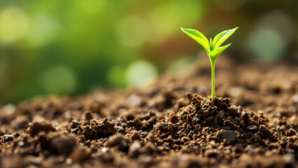 Future Potential: Tiny Plant Emerging from Soil. (AI-generated)