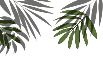 Tropical leaves shadows dark background nature design art