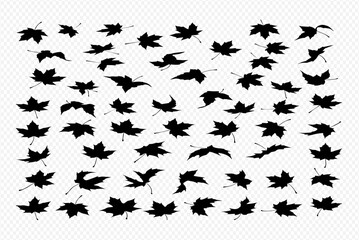 Collection of falling maple leaves, black silhouettes on white background.