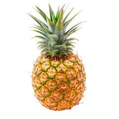 Single pineapple, vibrant yellow-orange scales, bright green leaves