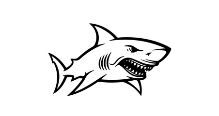 Obraz premium Angry shark head illustration great white shark drawing ocean predator dangerous sea animal vector design 100