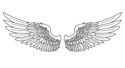 Angel wings drawing vector illustration, feathered wings sketch, tattoo wings outline, wings design art