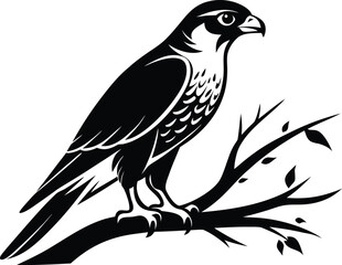 Falcon on branch, bird silhouette line art, perched raptor drawing, wildlife vector illustration, minimal nature scene