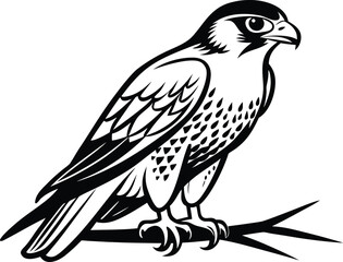 Falcon on branch, bird silhouette line art, perched raptor drawing, wildlife vector illustration, minimal nature scene