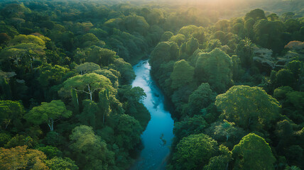 Obraz premium Aerial View of a River Winding Through Lush Rainforest