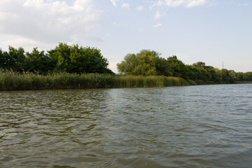 A body of water with trees in the background